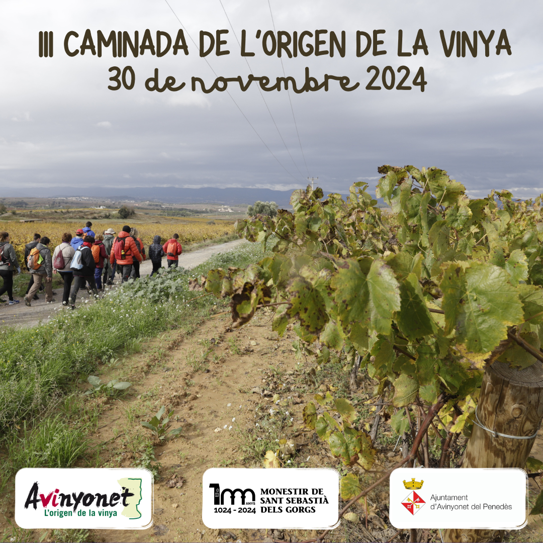 III Caminada de l'origen de la vinya