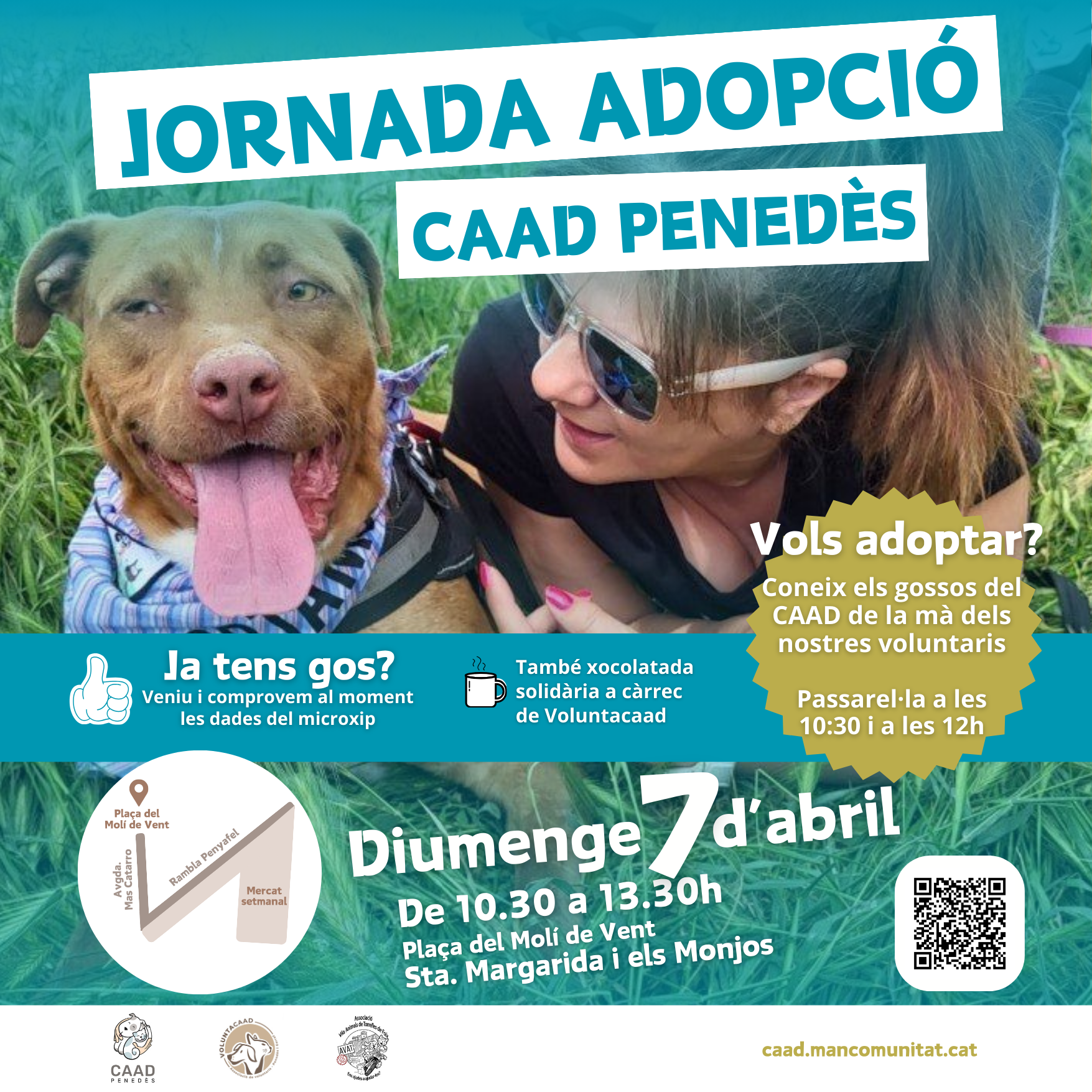 Jornada d'Adopció: Descobreix els gossos del CAAD Penedès