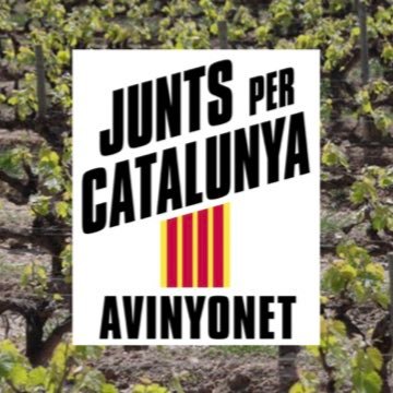 Junts per Catalunya Avinyonet
